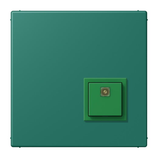 Jung Notrufsystem Abstelltaster, Serie LS, vert anglais NRSLC0834AT216