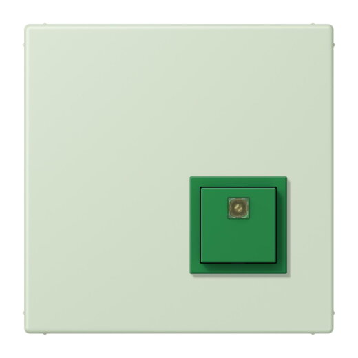 Jung Notrufsystem Abstelltaster, Serie LS, vert anglâis pale NRSLC0834AT218