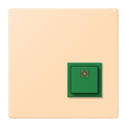 Jung Notrufsystem Abstelltaster, Serie LS, ocre NRSLC0834AT223