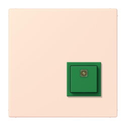 Jung Notrufsystem Abstelltaster, Serie LS, orange...