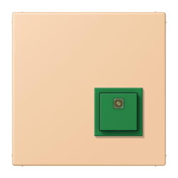 Jung Notrufsystem Abstelltaster, Serie LS, terre sienne...