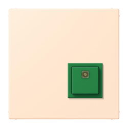 Jung Notrufsystem Abstelltaster, Serie LS, terre sienne...