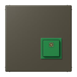 Jung Notrufsystem Abstelltaster, Serie LS, ombre...