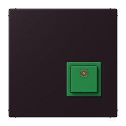 Jung Notrufsystem Abstelltaster, Serie LS, noir divoire...