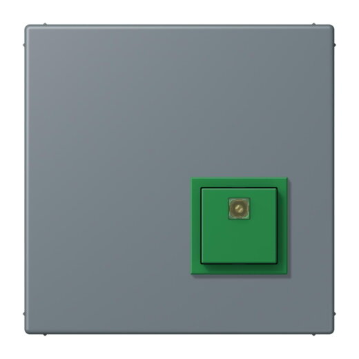 Jung Notrufsystem Abstelltaster, Serie LS, gris 59 NRSLC0834AT251