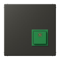 Jung Notrufsystem Abstelltaster, Serie LS, ombre...