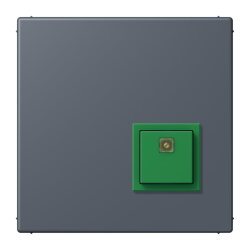 Jung Notrufsystem Abstelltaster, Serie LS, gris fonce 59...