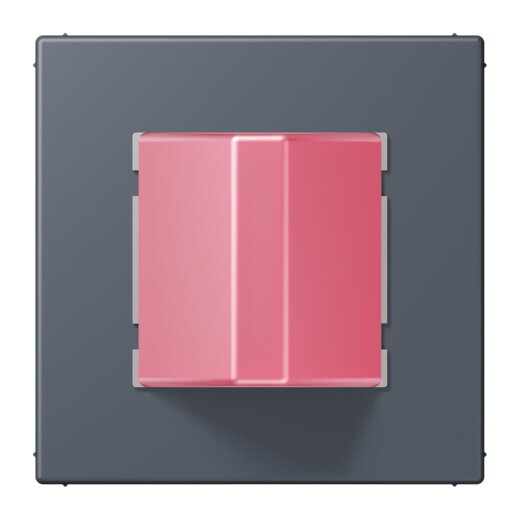 Jung Notrufsystem Rufmodul, Serie LS, gris fonce 59 NRSLC0834RM262