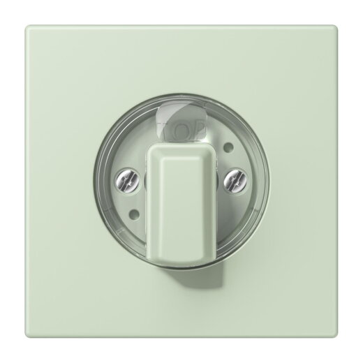 Jung Abdeckung für Drehschalter, Serie LS, vert anglâis pale LC1941218