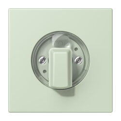 Jung Abdeckung für Drehschalter, Serie LS, vert...