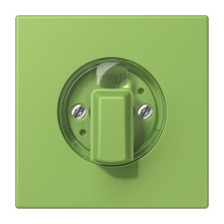 Jung Abdeckung für Drehschalter, Serie LS, vert 31...