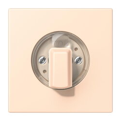 Jung Abdeckung für Drehschalter, Serie LS, terre...