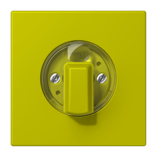 Jung Abdeckung für Drehschalter, Serie LS, vert olive vif LC1941249