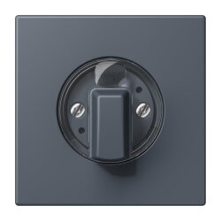 Jung Abdeckung für Drehschalter, Serie LS, gris...