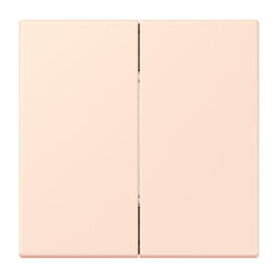 Jung Friends of Hue Funk-Wandsender Set 4-kanalig, Serie...