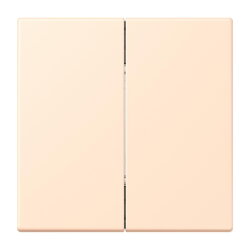 Jung Friends of Hue Funk-Wandsender Set 4-kanalig, Serie...