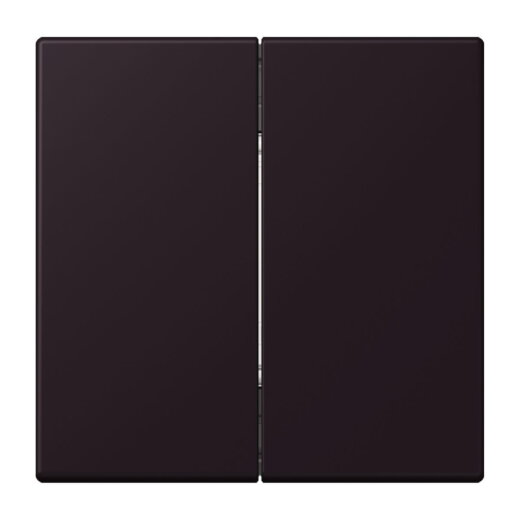 Jung Friends of Hue Funk-Wandsender Set 4-kanalig, Serie LS, noir divoire FOHLC995248