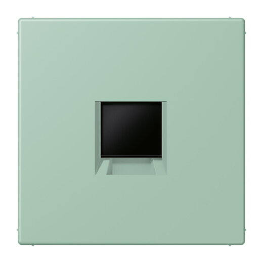 Jung Abdeckung (gerastet) für Modular-Jack-Steckbuchsen 1fach, Serie LS, vert anglais clair LC1969-1WE217