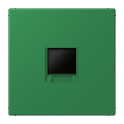 Jung Abdeckung (gerastet) für...