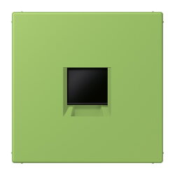 Jung Abdeckung (gerastet) für...