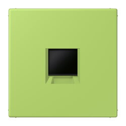 Jung Abdeckung (gerastet) für...