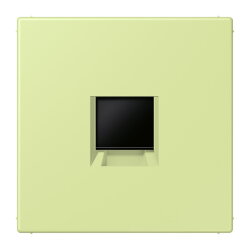 Jung Abdeckung (gerastet) für...