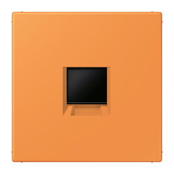 Jung Abdeckung (gerastet) für...