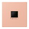 Jung Abdeckung (gerastet) für Modular-Jack-Steckbuchsen 1fach, Serie LS, rose clair LC1969-1WE231