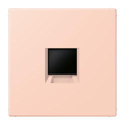 Jung Abdeckung (gerastet) für...