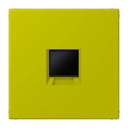 Jung Abdeckung (gerastet) für...