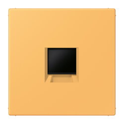 Jung Abdeckung (gerastet) für...