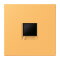 Jung Abdeckung (gerastet) für Modular-Jack-Steckbuchsen 1fach, Serie LS, ocre jaune clair LC1969-1WE254