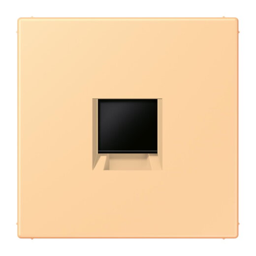 Jung Abdeckung (gerastet) für Modular-Jack-Steckbuchsen 1fach, Serie LS, terre sienne claire 59 LC1969-1WE258