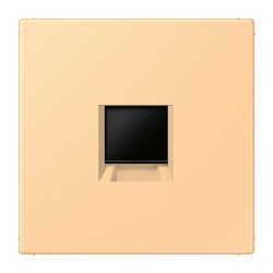 Jung Abdeckung (gerastet) für...