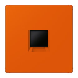 Jung Abdeckung (gerastet) für...