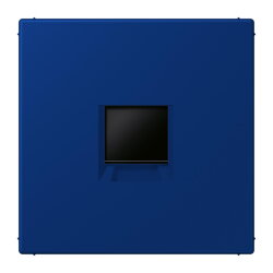 Jung Abdeckung (gerastet) für...