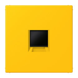 Jung Abdeckung (gerastet) für...