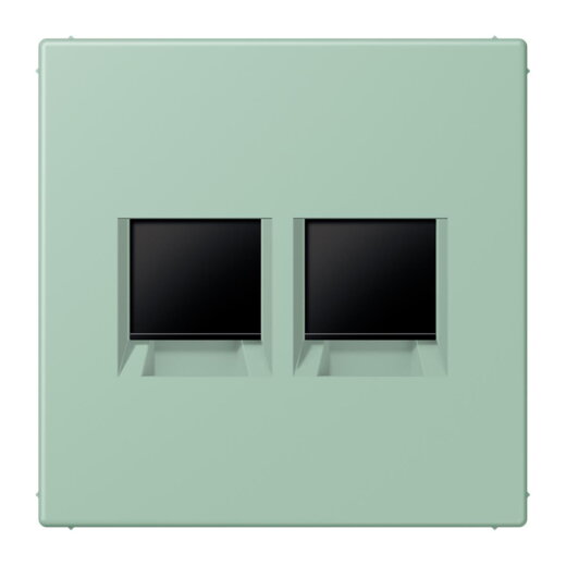 Jung Abdeckung (gerastet) für Modular-Jack-Steckbuchsen 2fach, Serie LS, vert anglais clair LC1969-2WE217