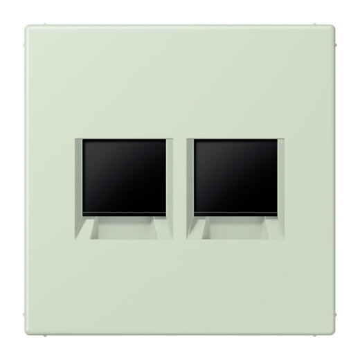 Jung Abdeckung (gerastet) für Modular-Jack-Steckbuchsen 2fach, Serie LS, vert anglâis pale LC1969-2WE218