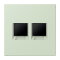 Jung Abdeckung (gerastet) für Modular-Jack-Steckbuchsen 2fach, Serie LS, vert anglâis pale LC1969-2WE218
