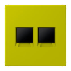 Jung Abdeckung (gerastet) für...