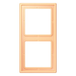 Jung Rahmen, 2-fach, LS 990, terre sienne claire 59...