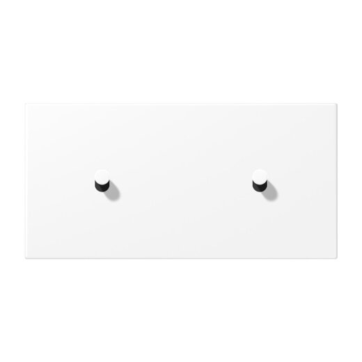 Jung Abdeckung mit Kipphebel, Kegel, 2fach, 2 x 1 Kipphebel, waagerecht, Serie LS 1912, schneeweiß matt (lackiertes Aluminium) AL12-200WWMK07