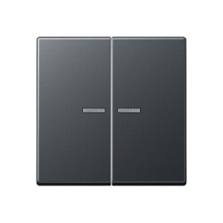 Jung KNX RF Taster 2fach, Thermoplast lackiert, Serie A,...