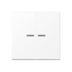 Jung KNX RF Taster 2fach, Thermoplast lackiert, Serie A,...