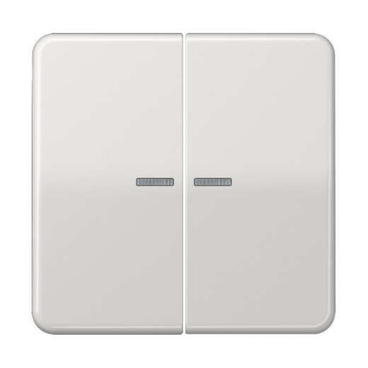 Jung KNX RF Taster 2fach, Duroplast, Serie CD, lichtgrau CD10921STRFLG