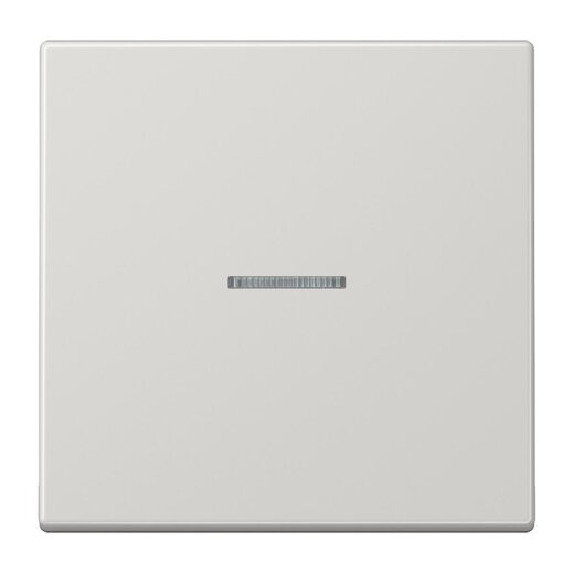 Jung KNX RF Taster 1fach, Duroplast, Serie LS, lichtgrau LS10911STRFLG