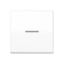 Jung HOME Taster 1fach, Thermoplast, Serie A,...