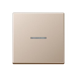 Jung HOME Taster 1fach, Serie A, champagner BTA17101CH