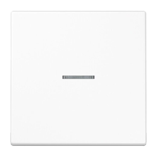 Jung HOME Taster 1fach, Duroplast, Serie LS, alpinweiß BTLS17101WW